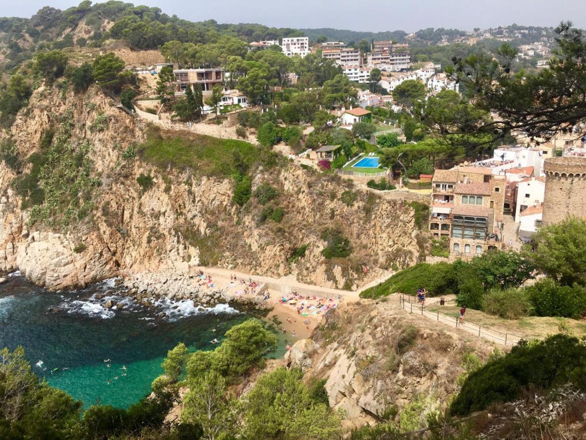 In The Forest With Sea View Apartment *